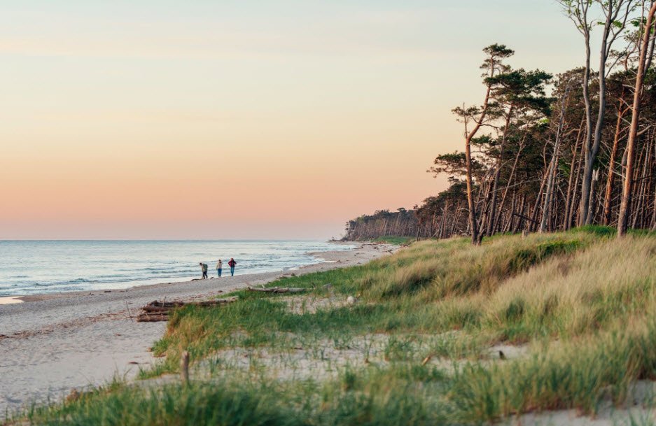 Darßer Strand, Germany